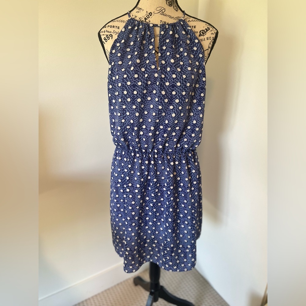 Polka Dot Blue Dynamite Dress